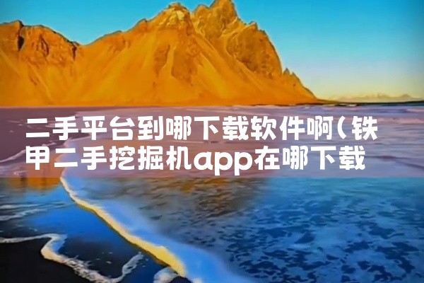 二手平台到哪下载软件啊