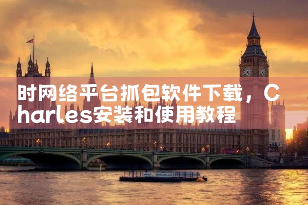 时网络平台抓包软件下载